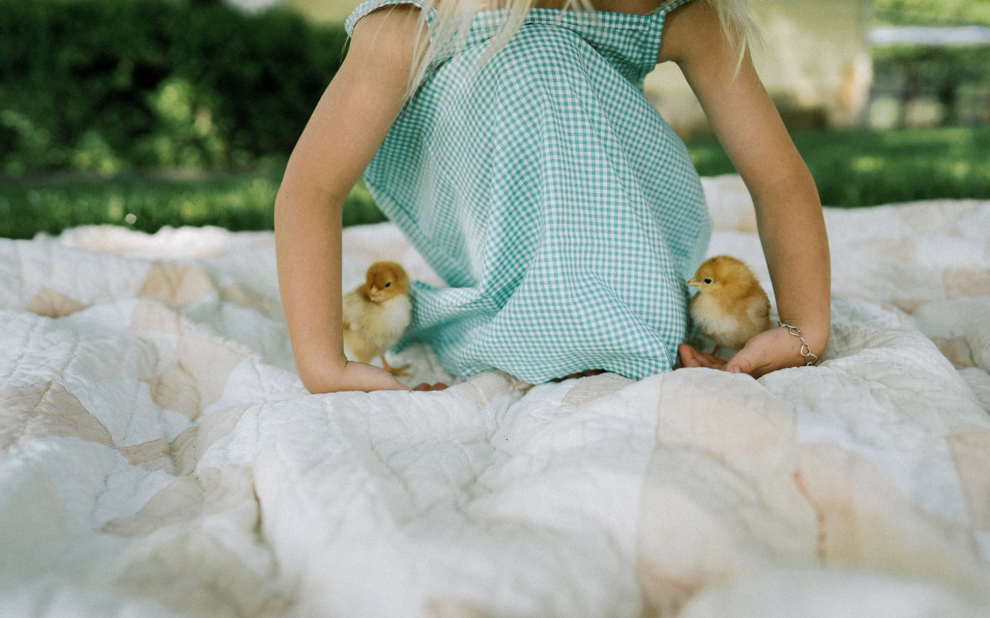 Picnic Dress